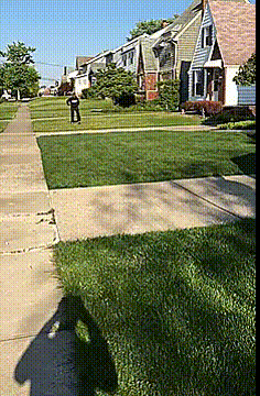 gif (26)