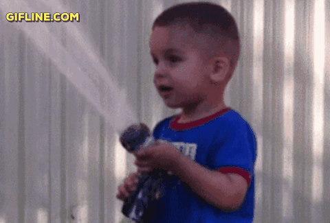 gif (6)
