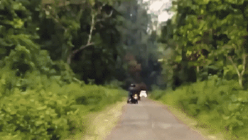 gif (5)