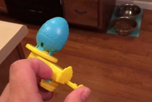 gif (9)