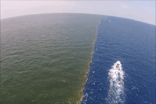 gif (1)