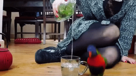 gif (17)