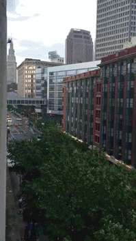 gif (24)