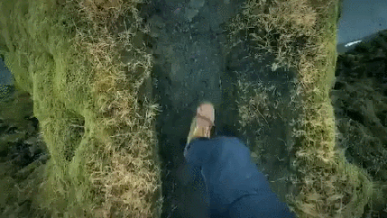 gif (30)
