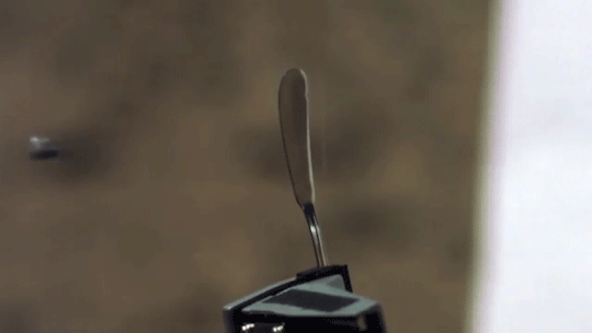 gif (7)
