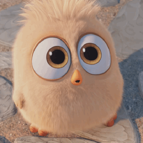 gif (1)