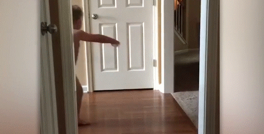 gif (20)