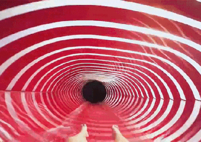 gif (14)