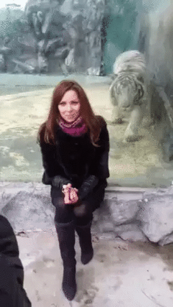 gif (29)