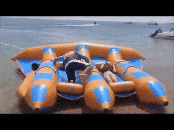 gif (30)