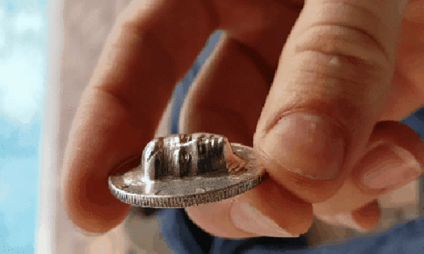 gif (3)