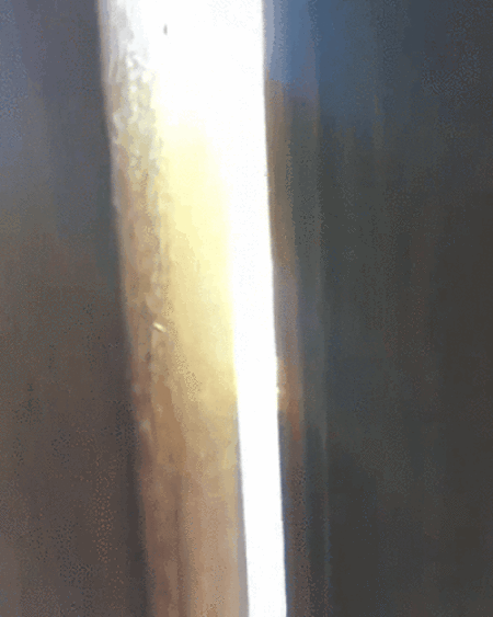 gif (30)