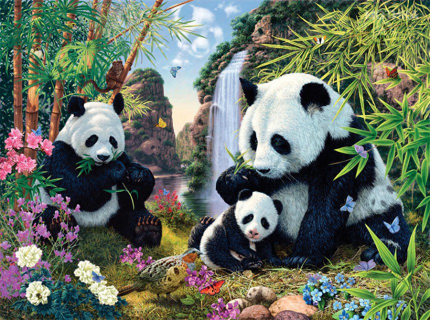panda-valley-steve-read