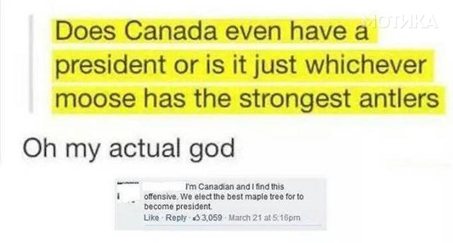 kanada (41)