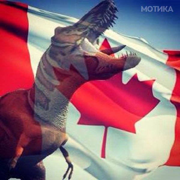 kanada (8)