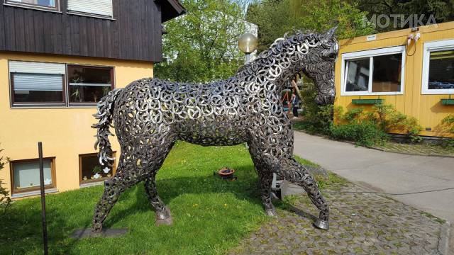 nesekojd (58)