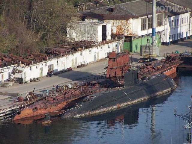nesekojd (67)