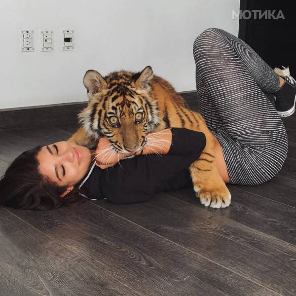nese (12)
