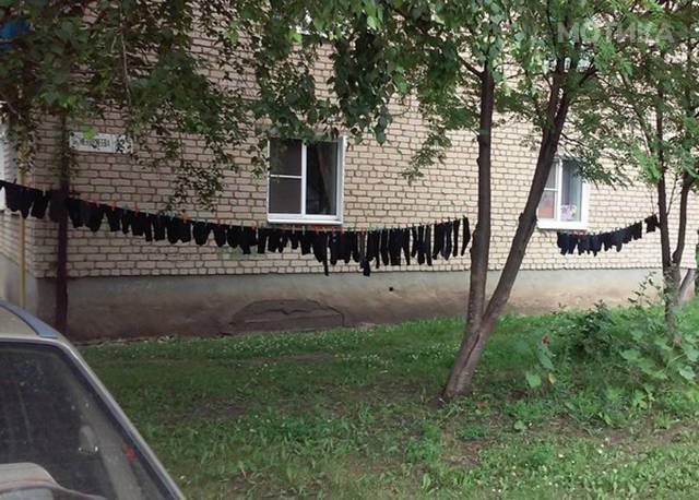 morning_picdump_1984_640_14