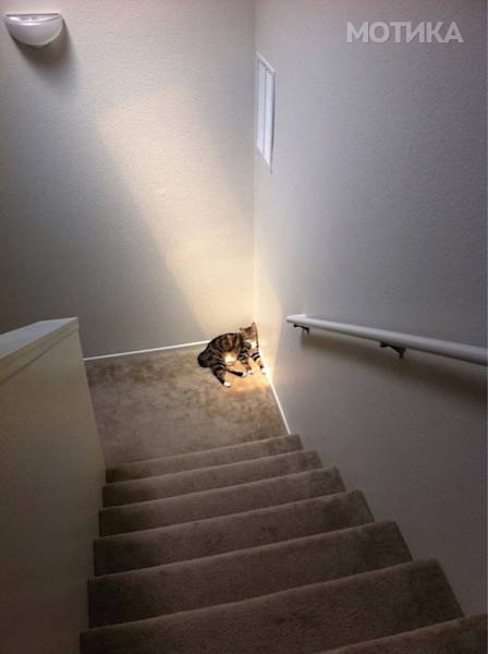 morning_picdump_1984_640_49
