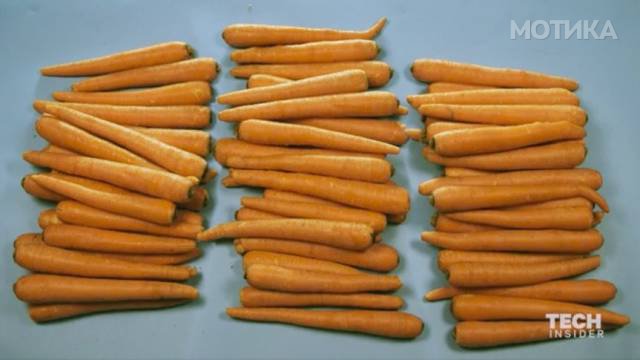 what_2000_calories_of_our_favorite_foods_look_like_640_08