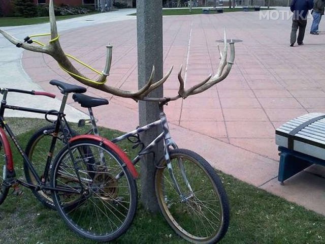 things_you_wont_see_happening_anywhere_else_but_in_canad_031
