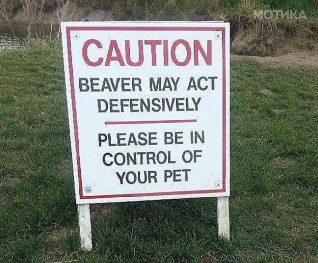 things_you_wont_see_happening_anywhere_else_but_in_canad_040