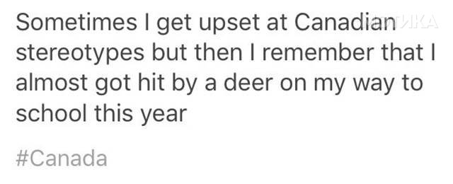 things_you_wont_see_happening_anywhere_else_but_in_canad_011