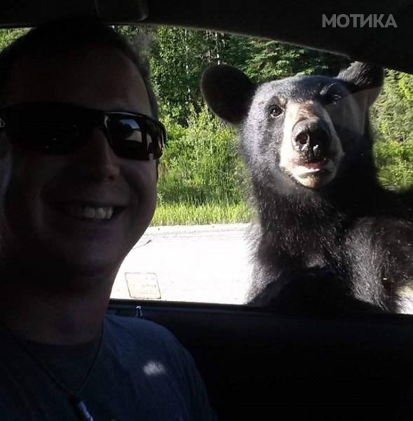 things_you_wont_see_happening_anywhere_else_but_in_canad_017