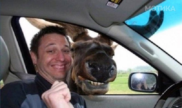things_you_wont_see_happening_anywhere_else_but_in_canad_024