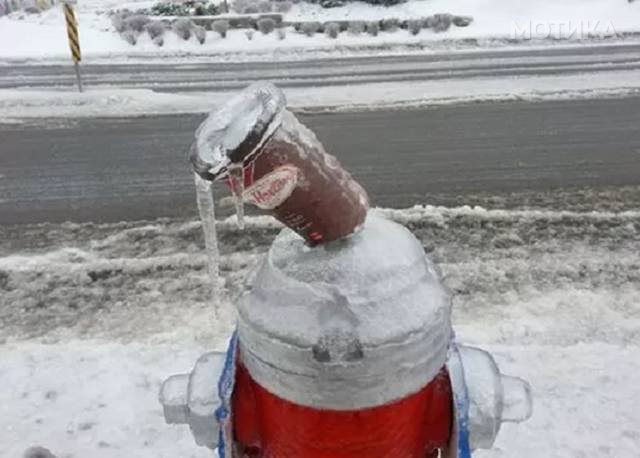 things_you_wont_see_happening_anywhere_else_but_in_canad_027