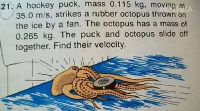 things_you_wont_see_happening_anywhere_else_but_in_canad_036