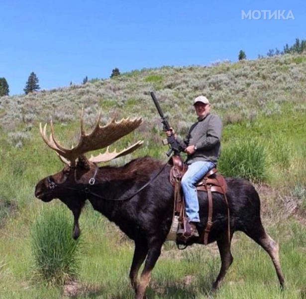 things_you_wont_see_happening_anywhere_else_but_in_canad_042
