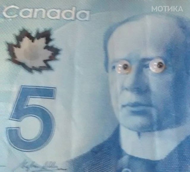 things_you_wont_see_happening_anywhere_else_but_in_canad_044
