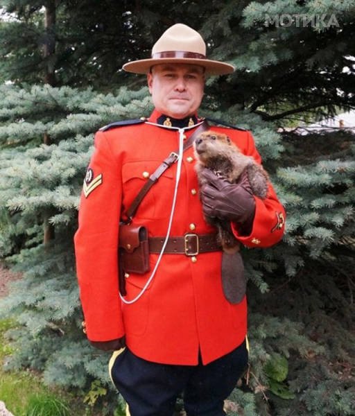 things_you_wont_see_happening_anywhere_else_but_in_canad_051