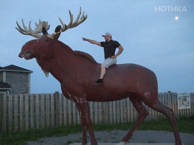things_you_wont_see_happening_anywhere_else_but_in_canad_054