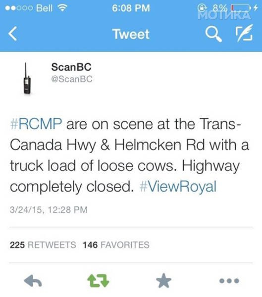 things_you_wont_see_happening_anywhere_else_but_in_canad_055