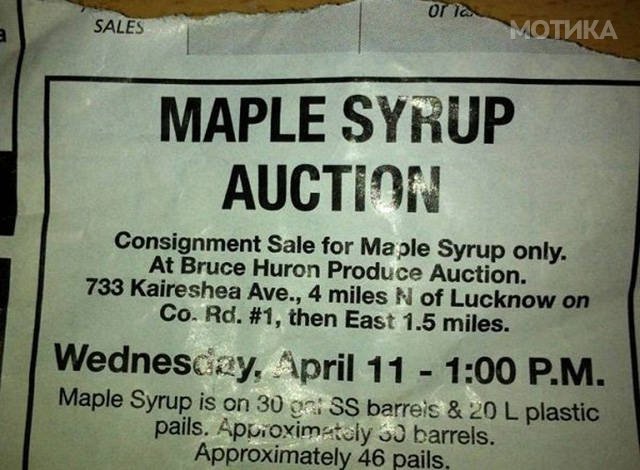things_you_wont_see_happening_anywhere_else_but_in_canad_056