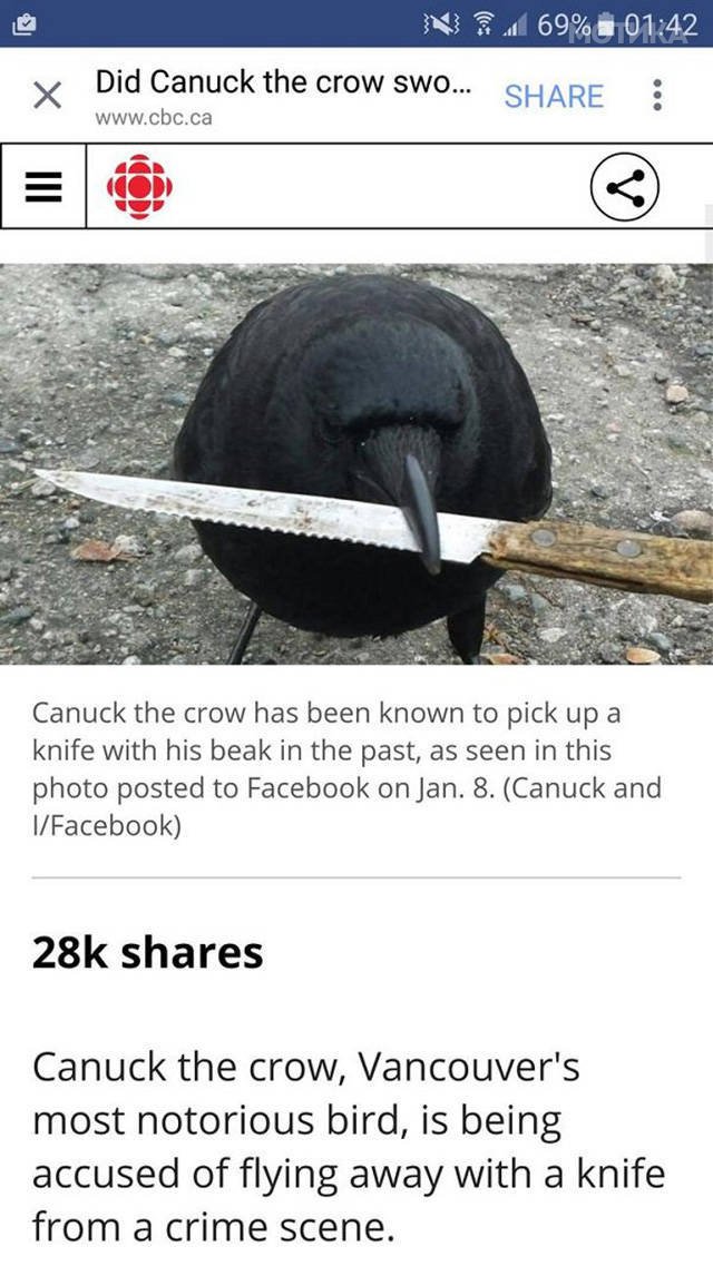 things_you_wont_see_happening_anywhere_else_but_in_canad_057