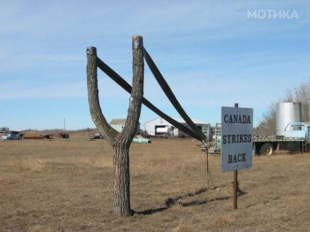 things_you_wont_see_happening_anywhere_else_but_in_canad_059