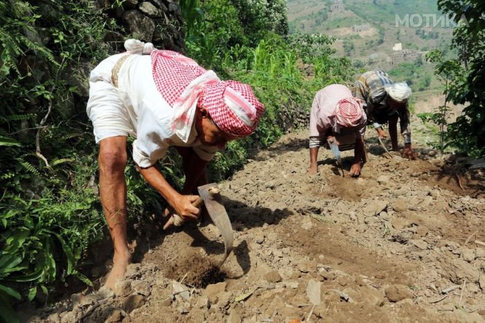 yemeni_villagers_09