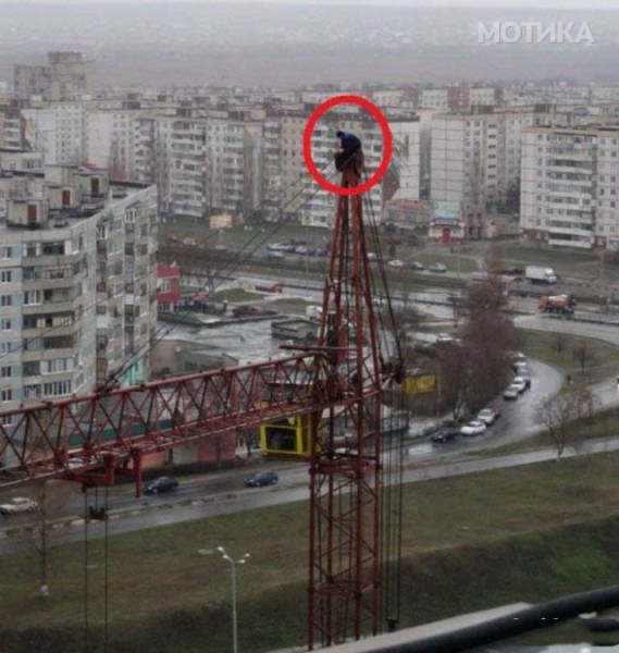 there_are_so_many_idiots_in_the_world_640_39