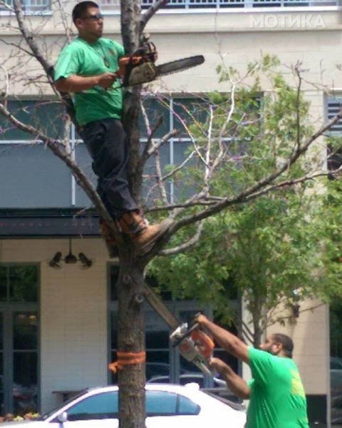 there_are_so_many_idiots_in_the_world_640_43