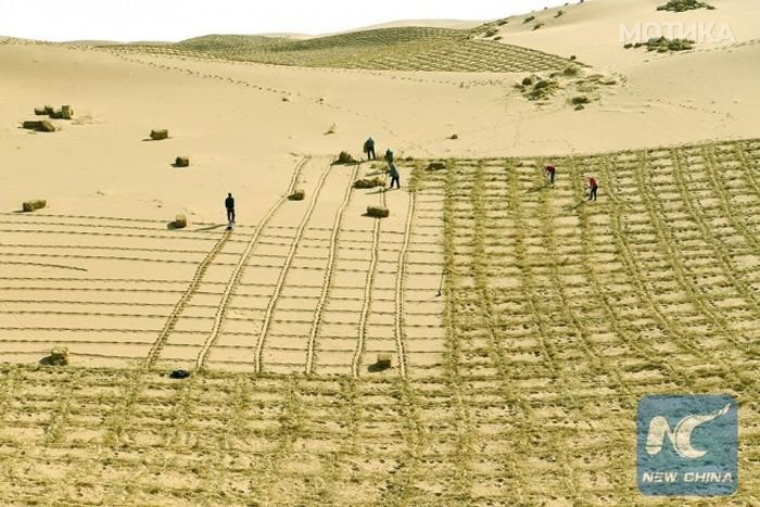 china_desert_02