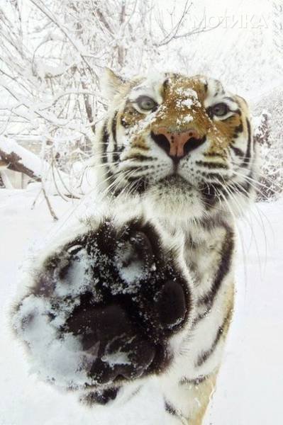 winter_is_coming_and_is_bringing_its_magic_with_it_640_17