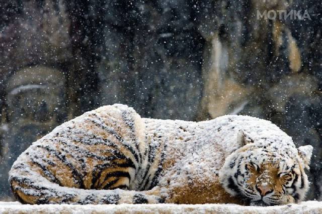 winter_is_coming_and_is_bringing_its_magic_with_it_640_30
