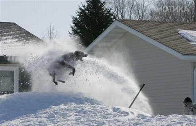 winter_is_coming_and_is_bringing_its_magic_with_it_640_42