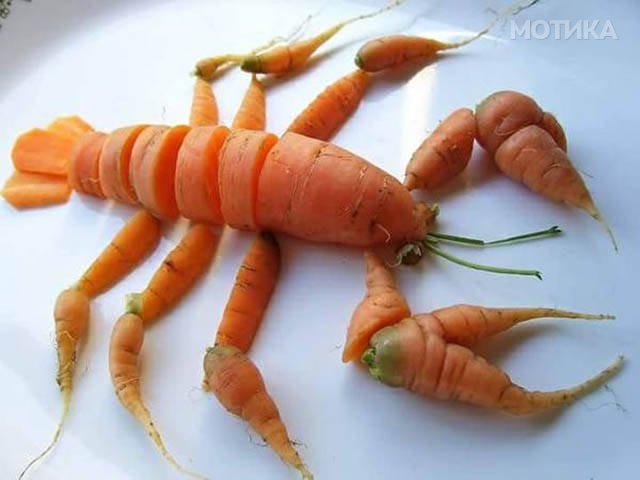 daily_picdump_238_640_12
