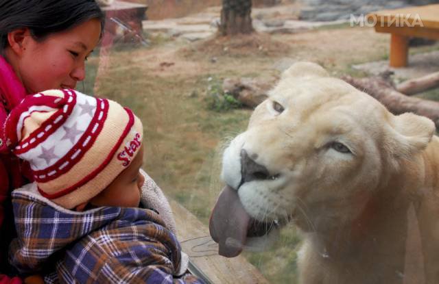 daily_picdump_238_640_20
