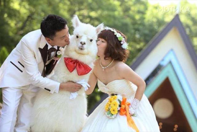 daily_picdump_238_640_25